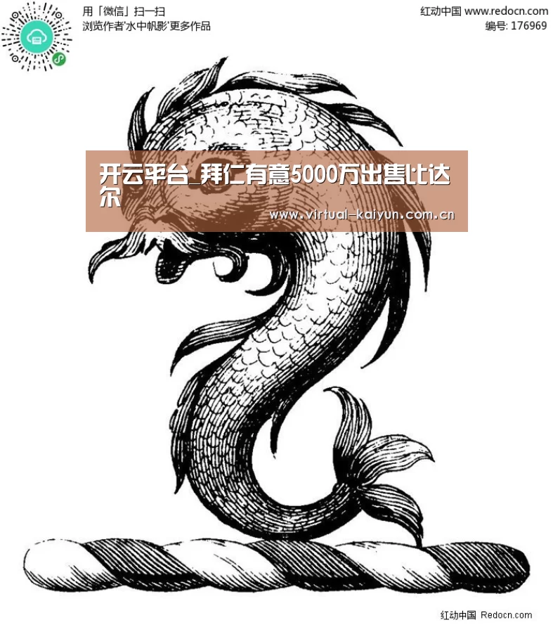 开云体育官网