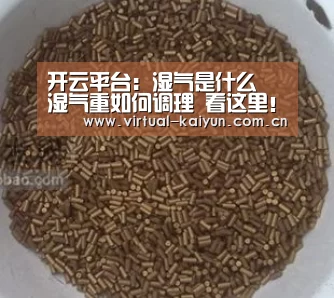 开云平台:湿气是什么 湿气重如何调理 看这里!