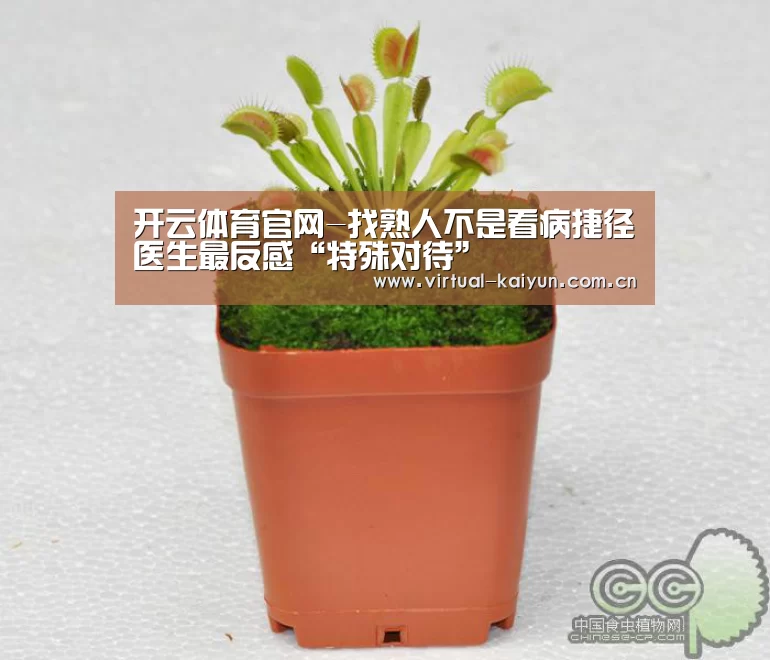 开云体育官网-找熟人不是看病捷径医生最反感“特殊对待”(图3) 开元体育