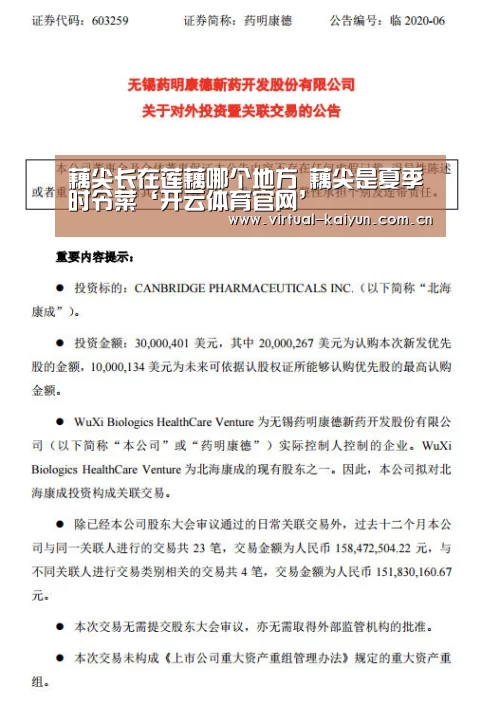 藕尖长在莲藕哪个地方 藕尖是夏季时令菜‘开云体育官网’