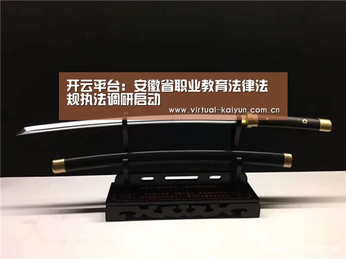 开云平台:安徽省职业教育法律法规执法调研启动(图3) 开元体育