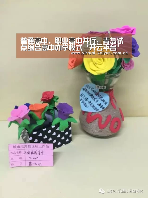 普通高中、职业高中并行，青岛试点综合高中办学模式‘开云平台’
