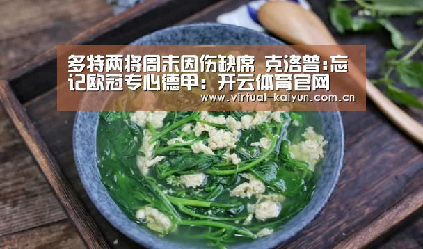 多特两将周末因伤缺席 克洛普:忘记欧冠专心德甲:开云体育官网