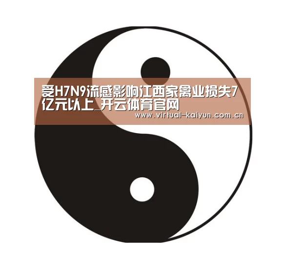 开云体育网站