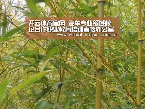 开云体育官网_汽车专业领域校企合作职业教育培训考核办公室在天津职大揭牌(图1) 开云体育官网